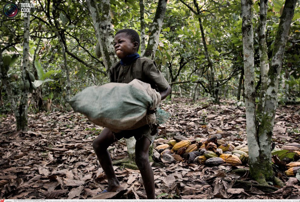 Slavery is not abolish in the Ivory Coast where children are used as labour to farm for the chocolate industry.